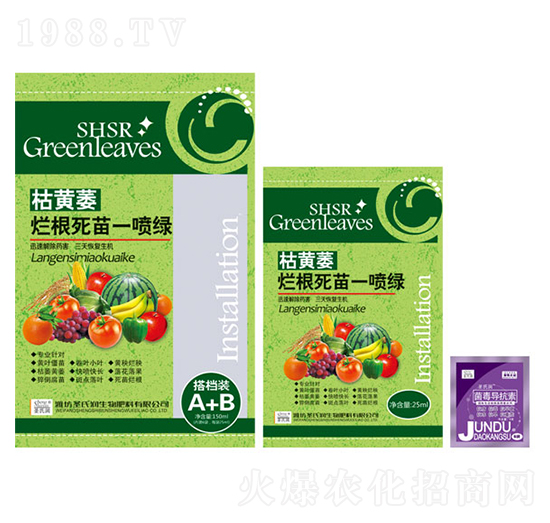 枯黃萎爛根死苗一噴綠-圣氏潤(rùn)