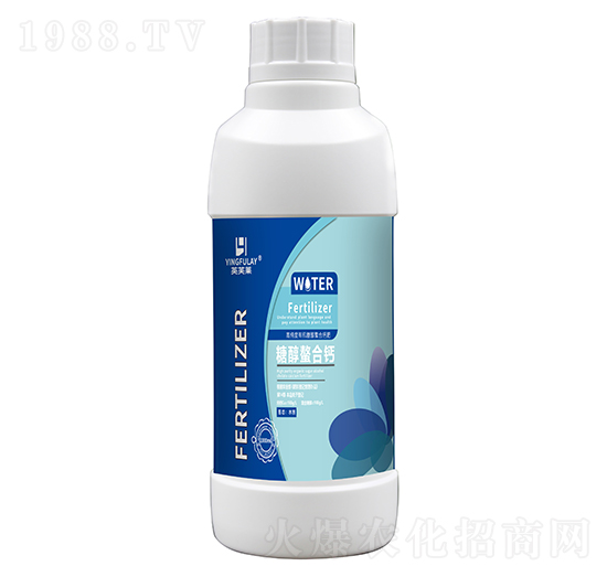 �Ǵ������}-Ӣܽ�R-���A����