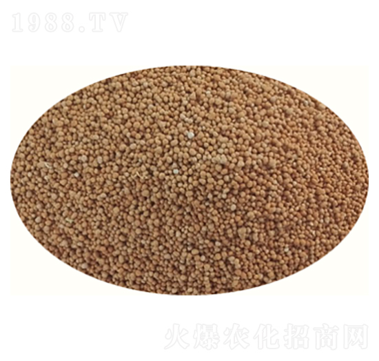 ��ጲ�ƺ��-�۱̵؃�(y��u)-�߸�