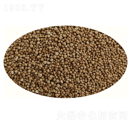 ��ƺ��-���ȶ�-�߸�