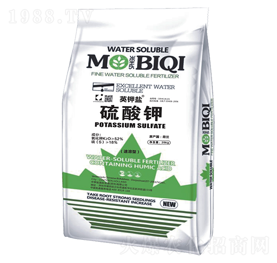 �����-Ӣ��}-����}