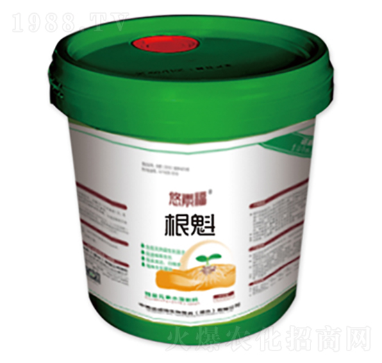 根魁-悠素福-中美諾威特