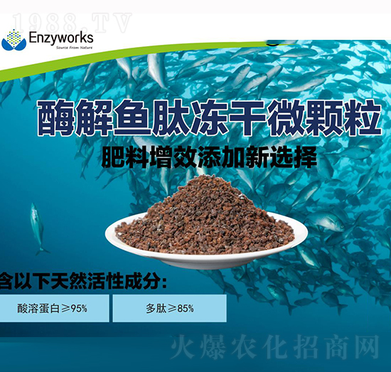 ø���~�ă���΢�w��-��������