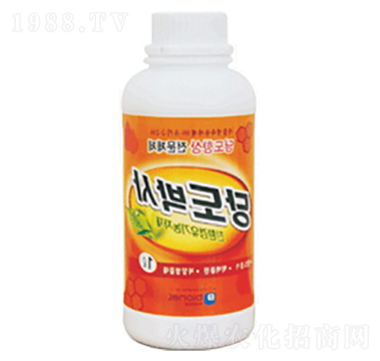 �ǶȲ�ʿ-��(y��u)��˼