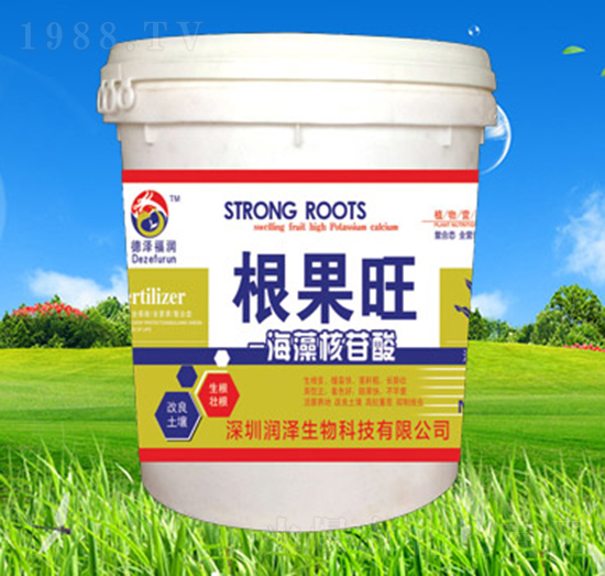 ���������-������-��������