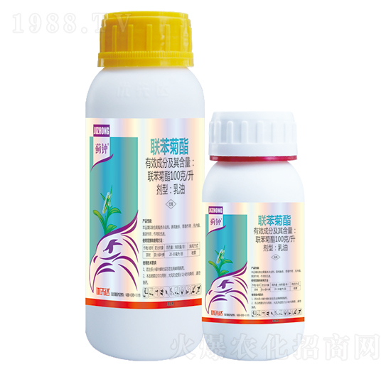 100��ÿ��������-�E�-��(y��u)���_