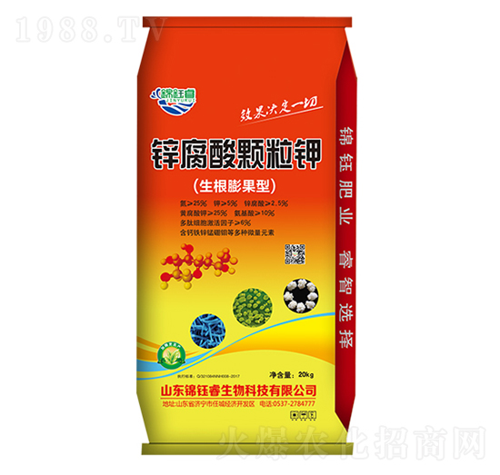 �\�����w��⛣�20kg��-�\��