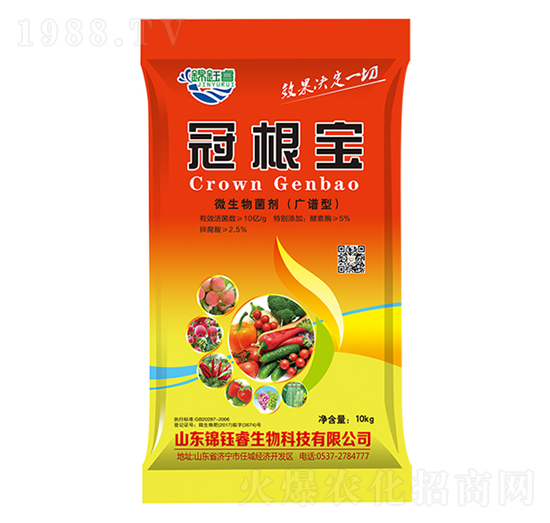 10kg΢�������-�ڸ���-�\��