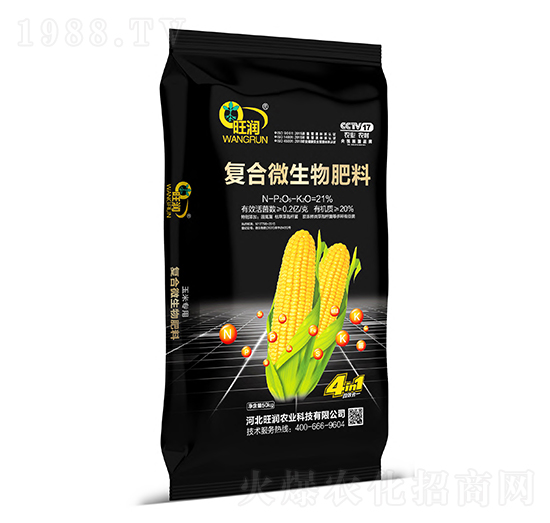 �ͺ�΢�������-�����r�I(y��)