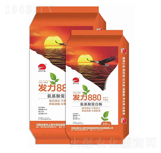 氨基酸蛋白酶-發(fā)力880-美島之星