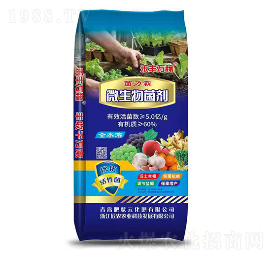 ΢�������-������-�ʠ�Ԫ