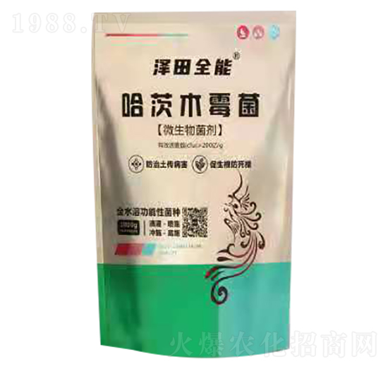 ����ľù��-����ȫ��-�r�o�n����