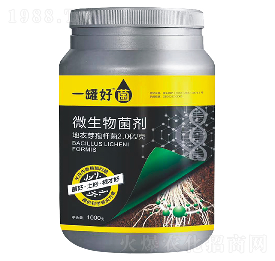 ΢�������-һ�޺þ�-�v�S�r(n��ng)�I(y��)