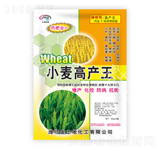 小麥高產(chǎn)王-金土地