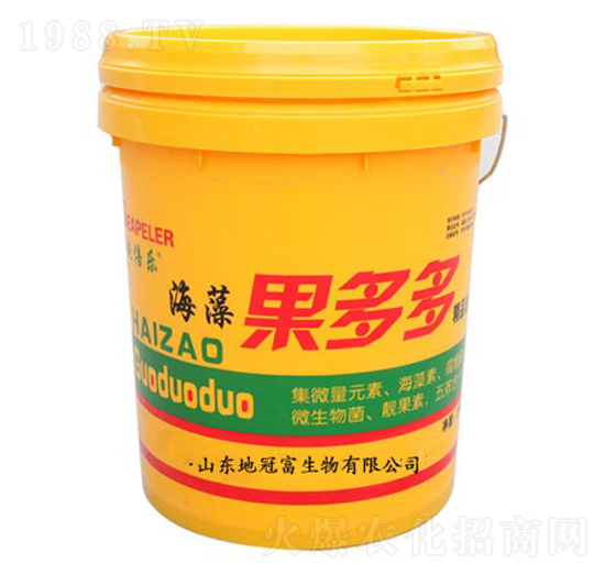 ��������-�عڸ�