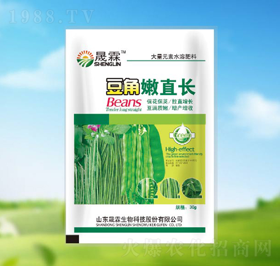 豆角嫩直長-晟霖生物