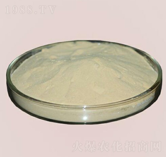 �M���~���ס���-�崺�r(n��ng)�Y