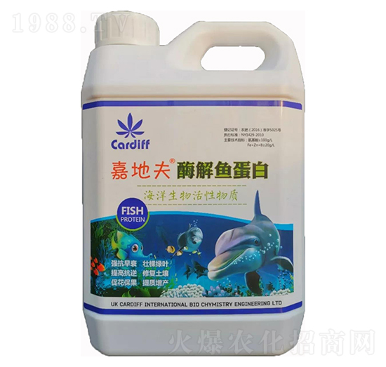 ø���~����-�εط�