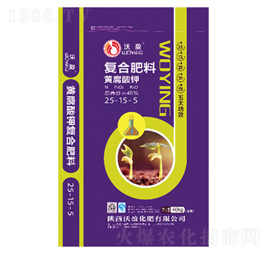 �S����⛏ͺϷ���25-15-5-��ӯ����