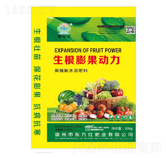 生根膨果動力-東方紅