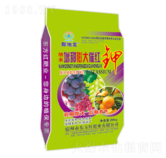 �{���������߼t�-�����-�|���t