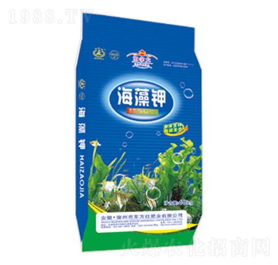 �����-�|���t