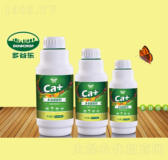 �����}-��Ș�(l��)