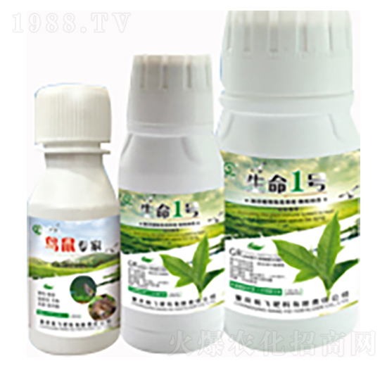 ����һ̖(h��o)-�B�󌣼�-���л���