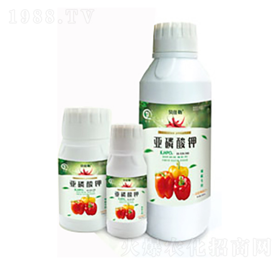 �������Á������-���л���