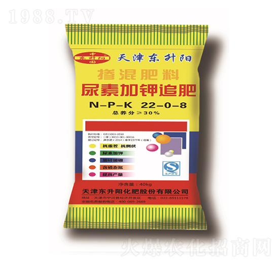 ���ؼ��׷��-�������22-0-8-�|���