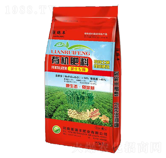 ���������ЙC����-ɏ���S