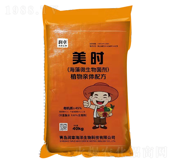 ����΢�������-���r(sh��)-��(r��n)�º���