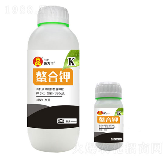 ����⛷�-�T���S����