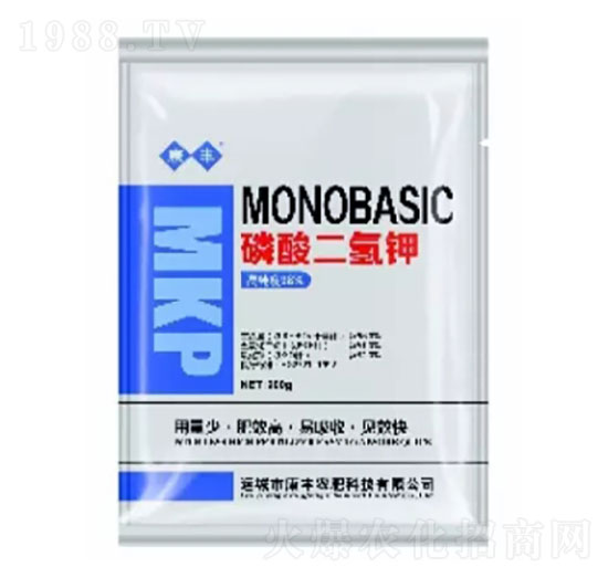 ��������-���S�r��