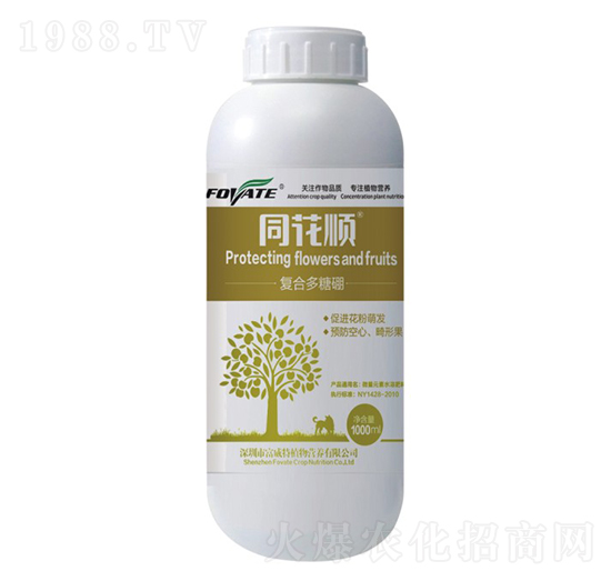 ͬ��혏ͺ϶�����-������