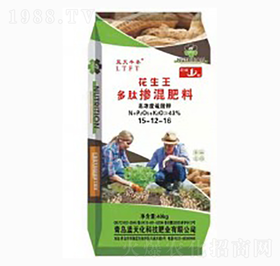 ���ē������15-12-16-������-�{(l��n)���S̩