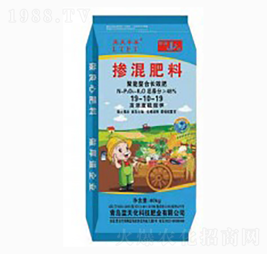 ���������LЧ��-��(f��)�Ϸ���19-10-19-�{���S̩