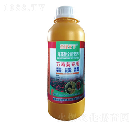 萬(wàn)壽菊專用海藻酸營(yíng)養(yǎng)液-奇綠天下-中根生物