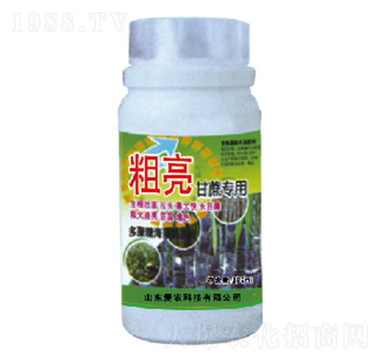 粗亮甘蔗專用-中根生物