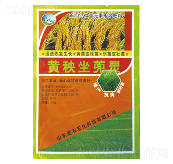 黃秧坐蔸靈-中根生物