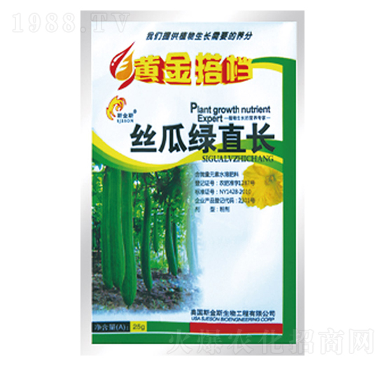 絲瓜綠直長-黃金搭檔-中根生物
