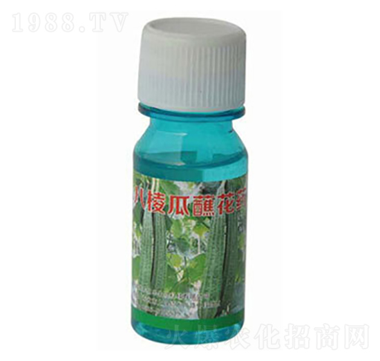 八棱瓜蘸花藥-農(nóng)伯樂