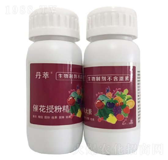 �߻��ڷ۾�-�r(n��ng)����