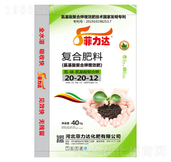 �ͺϷ���20-20-12-�����_