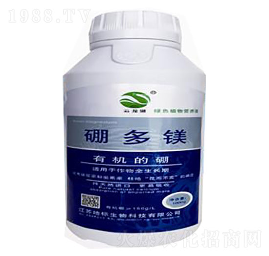 ����V-�ؘ�(bi��o)����