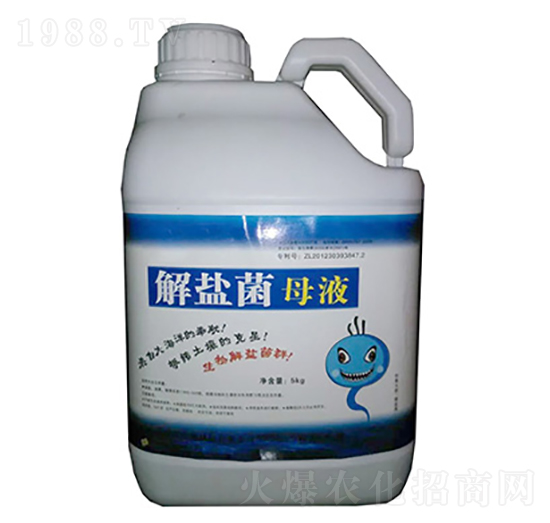 ���}��ĸҺ-���̷ʘI(y��)