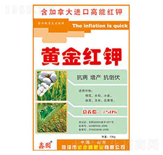 �S��t�-�Έ@-�����߷ʘI(y��)