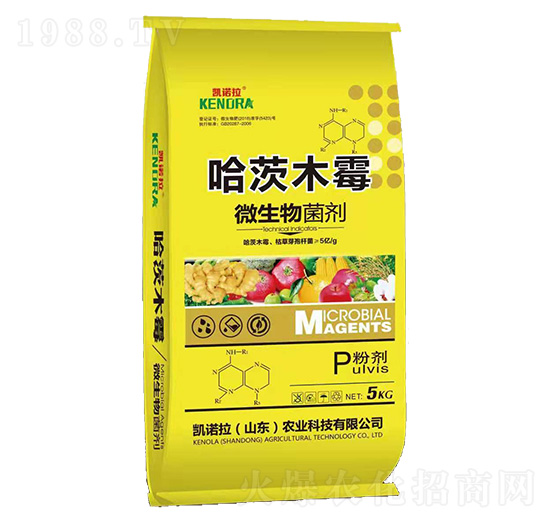 微生物菌劑-哈茨木霉菌-凱諾拉