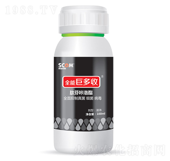 �ķ�������-ȫ�ܾ޶���-˹��ķ