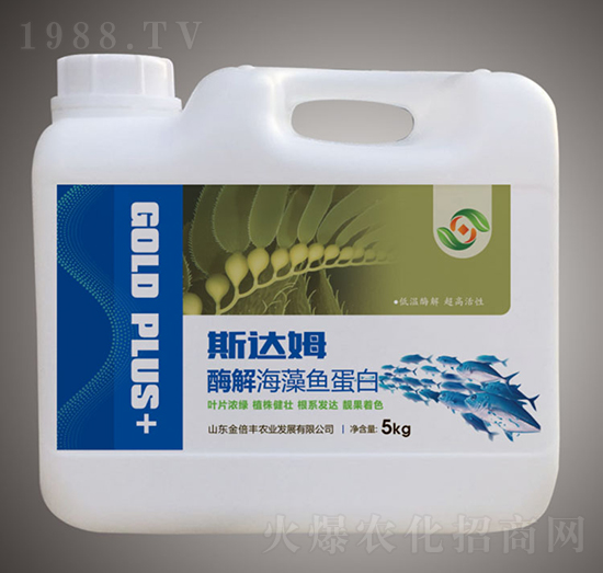 ø�⺣���~����-˹�_ķ-���S